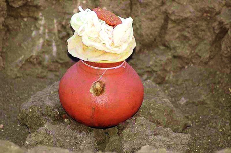 Today ghat mandani: Farmers attention to Bhendwal prophecy! | सरकार बदलणार का?, दुष्काळ सरणार का?; घटमांडणीच्या भाकिताकडे बळीराजाचे लक्ष्य