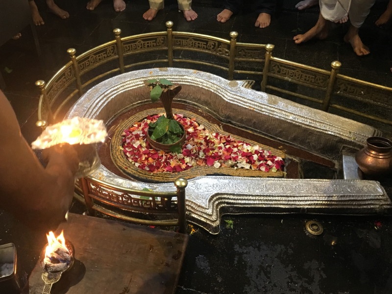 lakhs people took darshan at Bhimashankar | भीमाशंकर येथे श्रावण सरी, दाट धुके आणि हर हर महादेवच्या गजरात घेतले लाखो भाविकांनी दर्शन 