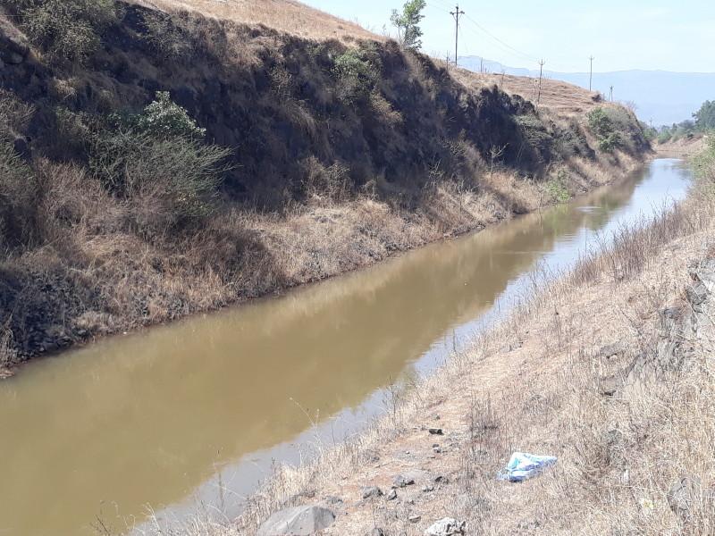 water left for Neera Devaghar canol | नीरा देवघर कालव्याला सोडले पाणी