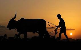 On the question of farmers, Bharip-Bms aggressor | शेतकऱ्यांच्या प्रश्नावरून भारिप-बमसं आक्रमक