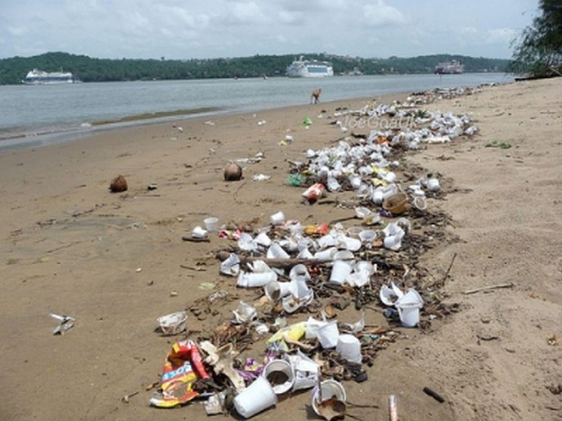 After Maharashtra, complete ban on plastic demand increased in goa | महाराष्ट्रानंतर गोव्यातही प्लास्टिक बंदीचा आग्रह वाढला