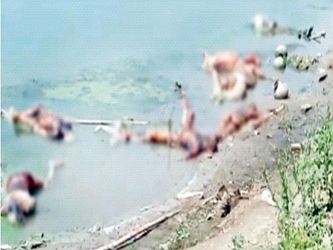 Bodies of corona victims in Ganga river in Bihar, order of inquiry | बिहारमध्ये गंगा नदीत कोरोनाग्रस्तांचे मृतदेह, चौकशीचे आदेश; कटीहार नदीतही आढळले मृतदेह
