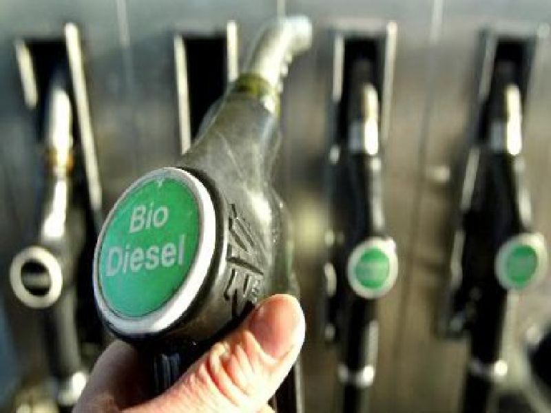 Take immediate action to stop sale of illegal fuel, fake biodiesel, Bhujbal instructs | Chhagan Bhujbal : अवैध इंधन, बनावट बायोडिझेल विक्री रोखण्यासाठी तातडीने कारवाई करा, छगन भुजबळांचे निर्देश