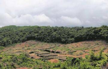 Biodiversity Park to be set up in 25 acres at Agran Dhulgaon | अग्रण धुळगाव येथे २५ एकरमध्ये साकारणार जैवविविधता उद्यान