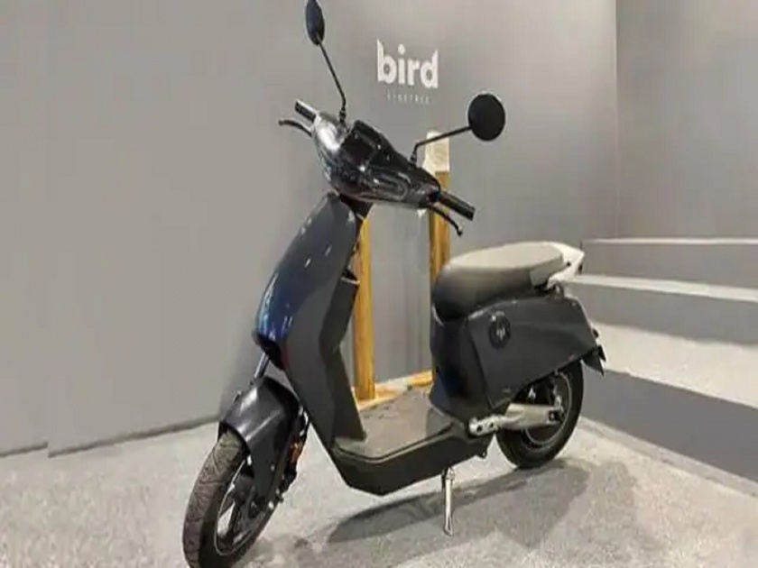 bird es1 plus electric scooter to be launch soon may price starts rs 50000 here is details | भारतात लाँच होणार स्वस्त आणि मस्त ईलेक्ट्रीक स्कूटर; किंमत ५० हजारांपर्यंत असण्याची शक्यता