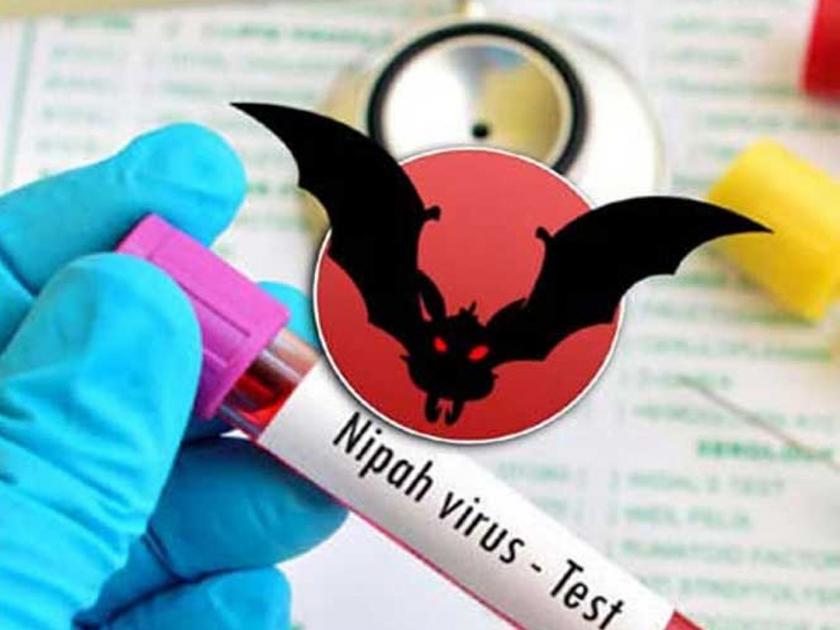 Nipah virus: 11 contacts of child show symptoms; total 251 in close contact in Kerala | Nipah Virus update: बापरे! निपाह झालेल्या मुलाच्या संपर्कात तब्बल 251 लोक; 38 जण हाय रिस्कमध्ये