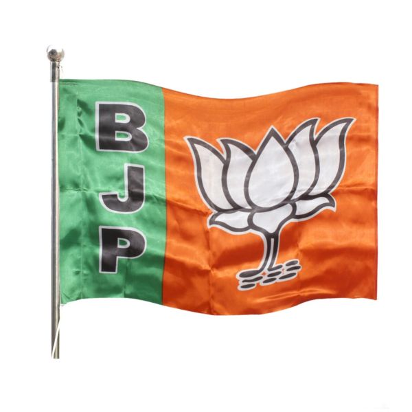 Nagpur's supremacy in BJP's 'jumbo' executive | भाजपच्या ‘जम्बो’ कार्यकारिणीत नागपूरचा वरचष्मा