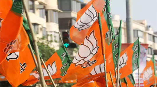 Triple campaigning of BJP office-bearers in Kolhapur | Maharashtra Assembly Election 2019 : कोल्हापूरच्या भाजप पदाधिकाऱ्यांचा तिहेरी प्रचार