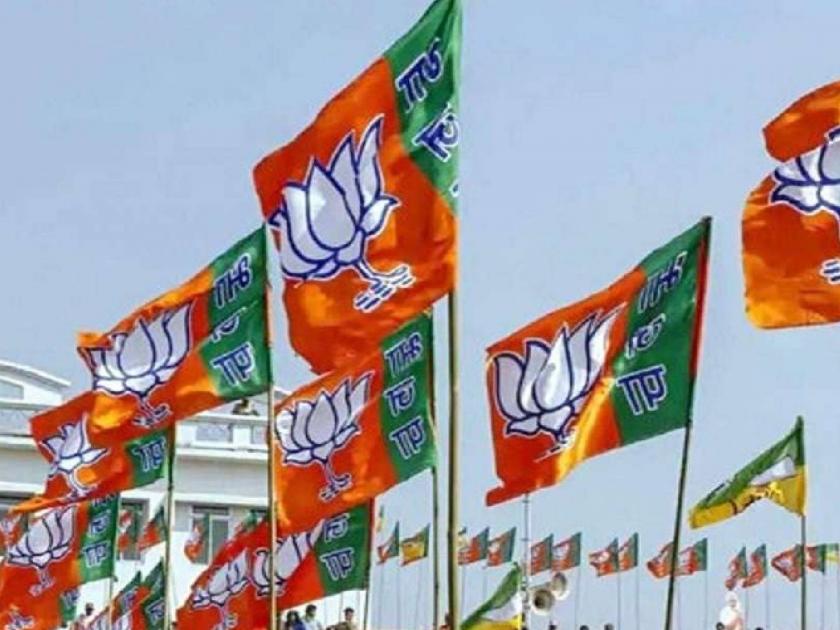 BJP releases the 4th list of the Lok Sabha Candidates from Puducherry and Tamil Nadu | भाजपची लोकसभेसाठी उमेदवारांची चौथी यादी जाहीर; बड्या नेत्यांचा समावेश