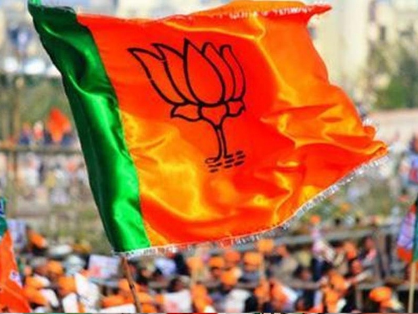 vidhan sabha election 2019 Internal Argument in BJP | Vidhan Sabha 2019: भाजपमध्ये आयारामांमुळे नव्या-जुन्यांचा वाद ?