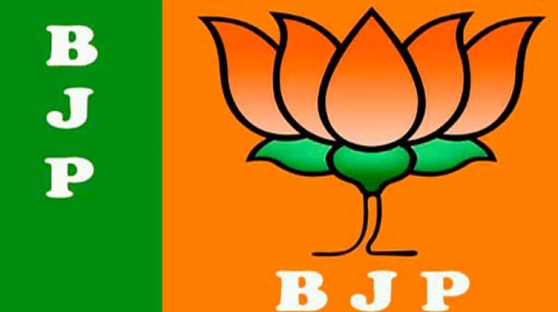 BJP's 'Team' announcement for the elections in Nagpur | नागपुरात निवडणुकांसाठी भाजपाच्या ‘टीम’ची घोषणा