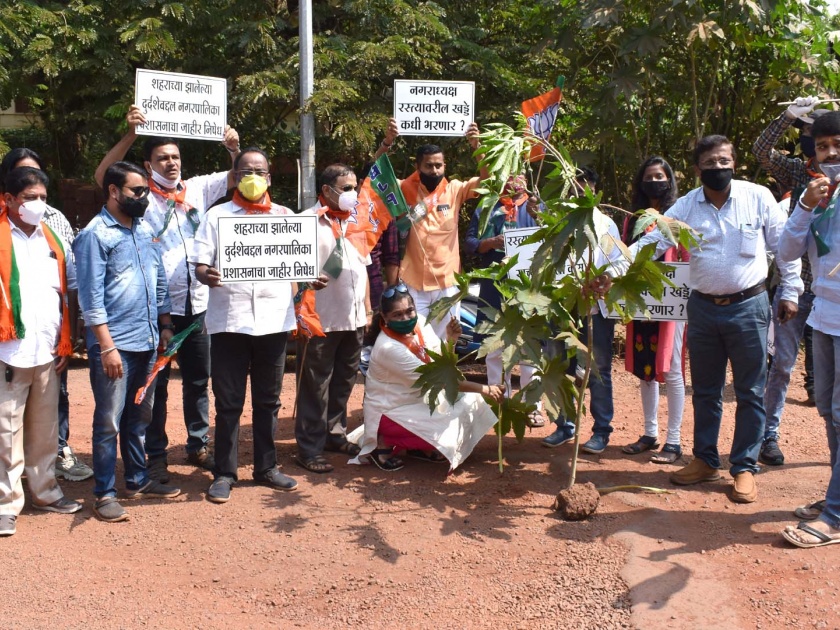 Ratnagiri city BJP planted trees in the pits | रत्नागिरी शहर भाजपने केले खड्ड्यांत वृक्षारोपण