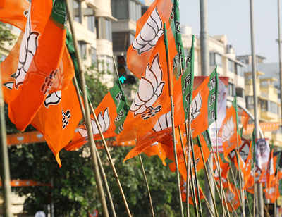 Like Bihar, BJP feeling week in Goa with supporter parties | बिहारप्रमाणे गोव्यातही भाजप घटक पक्षांसमोर अगतिक