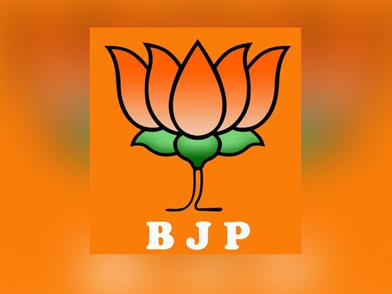 BJP Lokpindiidhi porn clip viral in social media | भाजपा लोकप्रतिनिधीची अश्लील क्लीप व्हायरल