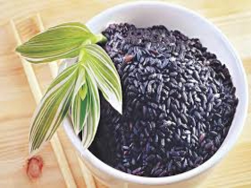 Have you seen black rice? The benefits are so many; see what history says ... | तुम्ही काळा तांदूळ पाहिला आहे का? फायदे सांगावे तितके कमीच;इतिहासच काय सांगतो बघा...