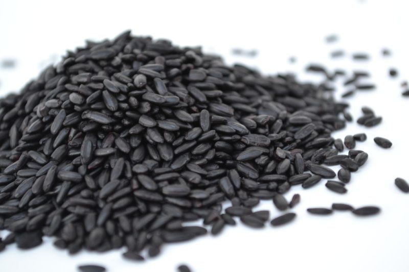 Black Rice produced In Nagpur: The first experiment in the state | नागपुरात पिकविला ‘ब्लॅक राईस’ : राज्यातील पहिलाच प्रयोग