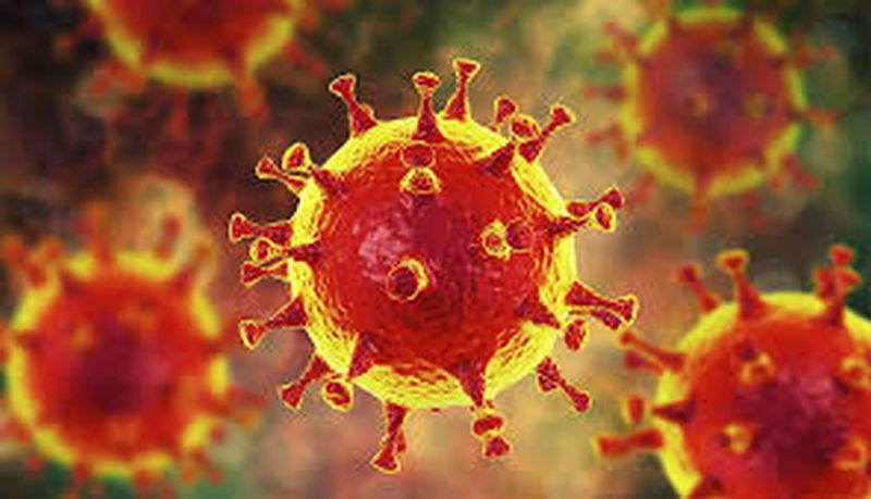 Coronavirus: 10 new positive in bulldozer | CoronaVirus : बुलडाण्यात १० नवे पॉझिटिव्ह 