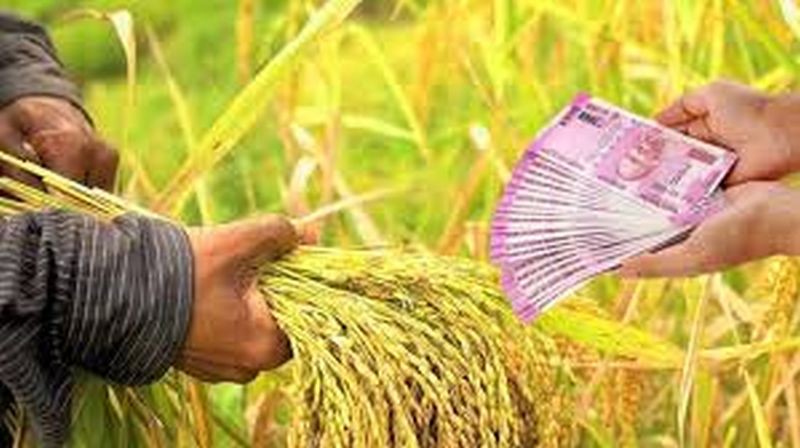 Crop loans to 54% of farmers who have received loan waivers | कर्जमाफी मिळालेल्या ५४ टक्के शेतकऱ्यांना पीक कर्ज