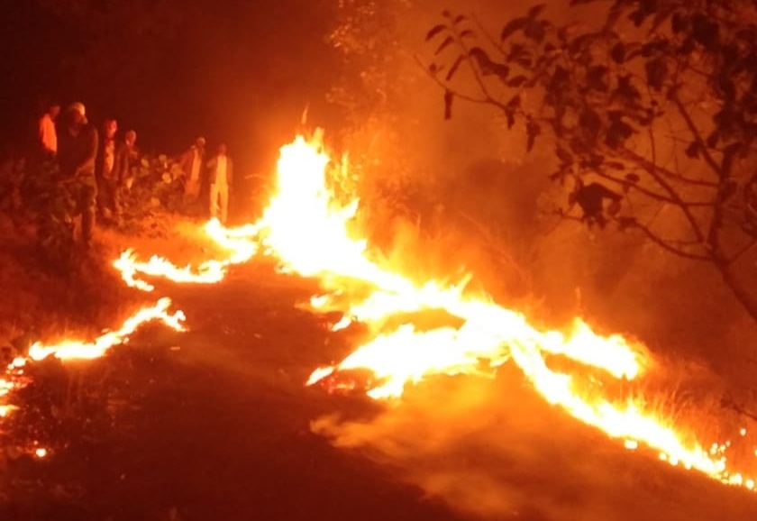 Crimes against seven people who started a forest fire | वनक्षेत्रात आगी लावणाऱ्या सात जणांविरोधात गुन्हे