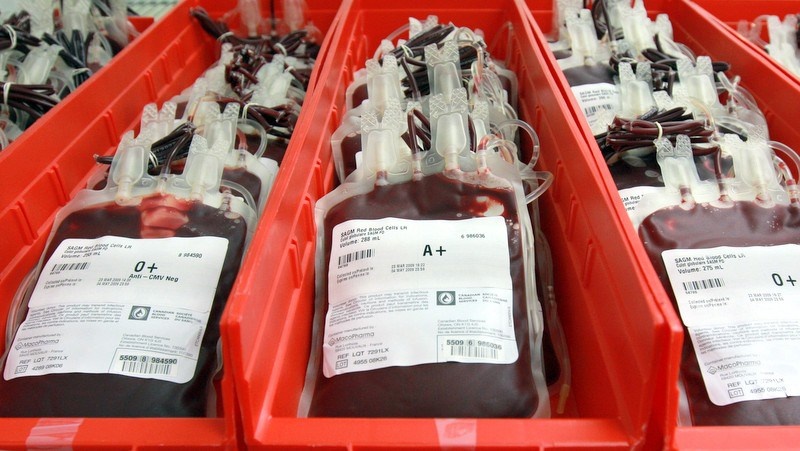"Blood donation camps should be organized in phases from Shiv Sena branches" | "शिवसेना शाखांमधून रक्तदान शिबिरे टप्प्याटप्प्याने आयोजित करावीत"