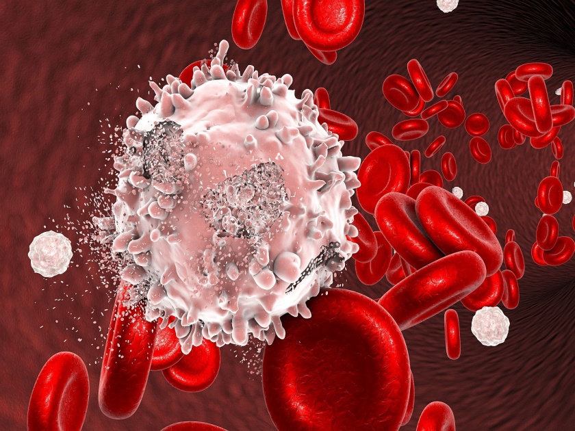 Scientists found a connection between blood cancer or Leukemia cells and vitamin B6 | ब्लड कॅन्सर सेल्स शरीरात वेगाने का वाढतात? समोर आलं कारण, सोपे होणार उपचार...