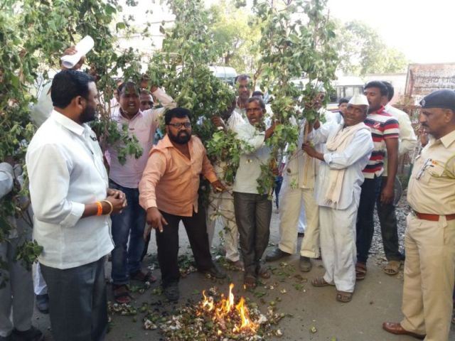 Farmer's agitation in front of agriculture minister's house; burn bondali affected cotton plant! | कृषीमंत्र्यांच्या घरासमोर शेतकर्‍यांचा चार तास ठिय्या; बोंडअळीची केली होळी!