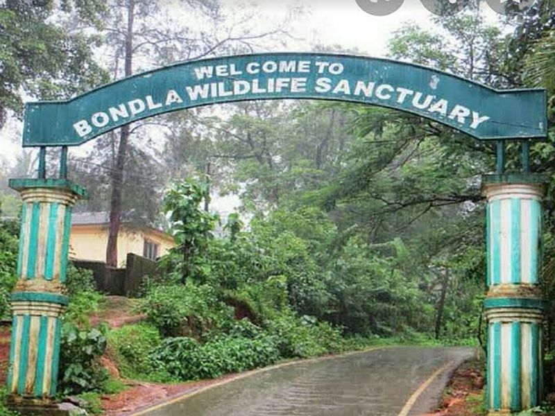 Goa's Bondla zoo gets Centre's nod for Rs 50 crore facelift | बोंडला अभयारण्याचा चेहरा-मोहरा बदलणार; केंद्राकडून 50 कोटी मंजूर