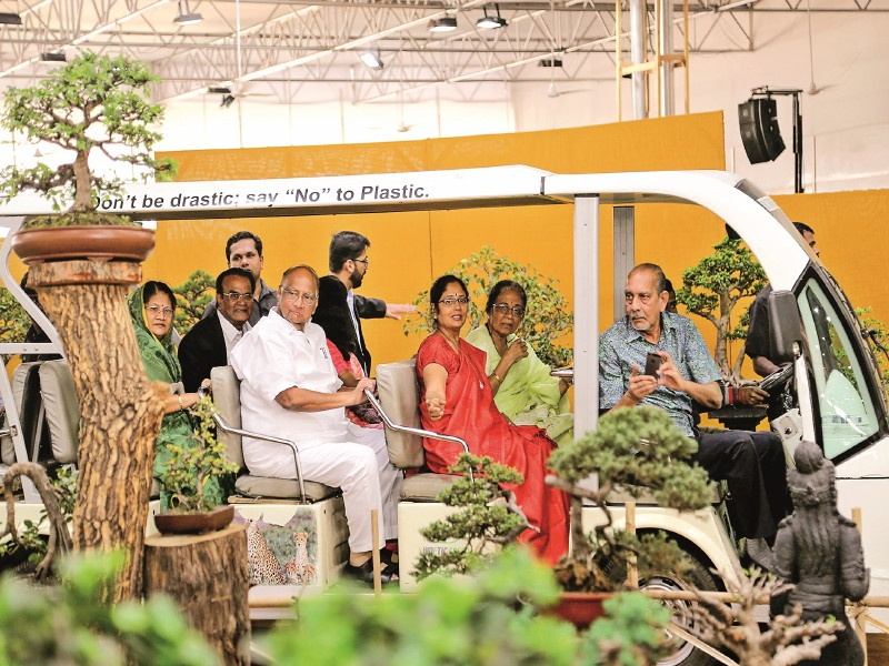 Training should be done in the bonsai art: Sharad Pawar; The inauguration of the first global Bonsai Conference, Pune | बोन्साय कलेचे प्रशिक्षण द्यावे : शरद पवार; पहिल्या जागतिक बोन्साय परिषदेचे उद्घाटन