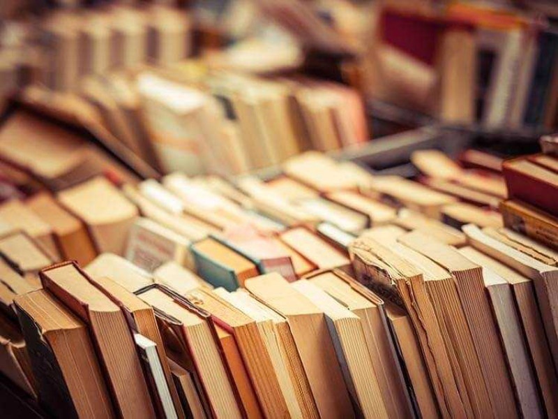  14 lakh pages digitization; Books will be saved with rare texts | १४ लाख पानांचे झाले डिजिटायझेशन; दुर्मीळ ग्रंथांसह पुस्तकांचे होणार जतन