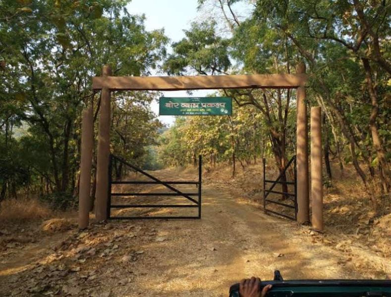Forest tourism at Bor Tiger Project closed again | बोर व्याघ्र प्रकल्पातील वन पर्यटन पुन्हा बंद