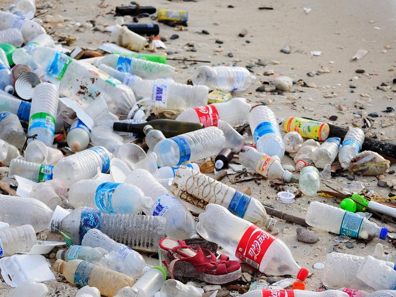 Ban on sale of plastic bottled water in sikkim state from 1 January 2022 | 1 जानेवारी 2022 पासून 'या' राज्यात प्लास्टिकच्या बाटलीत पाणी विकण्यावर बंदी