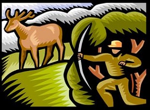 Hunting of deer in Buldhana district | काळविटाची शिकार करुन खुलेआम मांसविक्री; बुलडाणा जिल्ह्यातील किन्होळा येथील घटना  