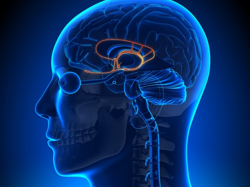  Pseudoscience in brain sciences | मेंदूविज्ञानातही छद्मविज्ञान!
