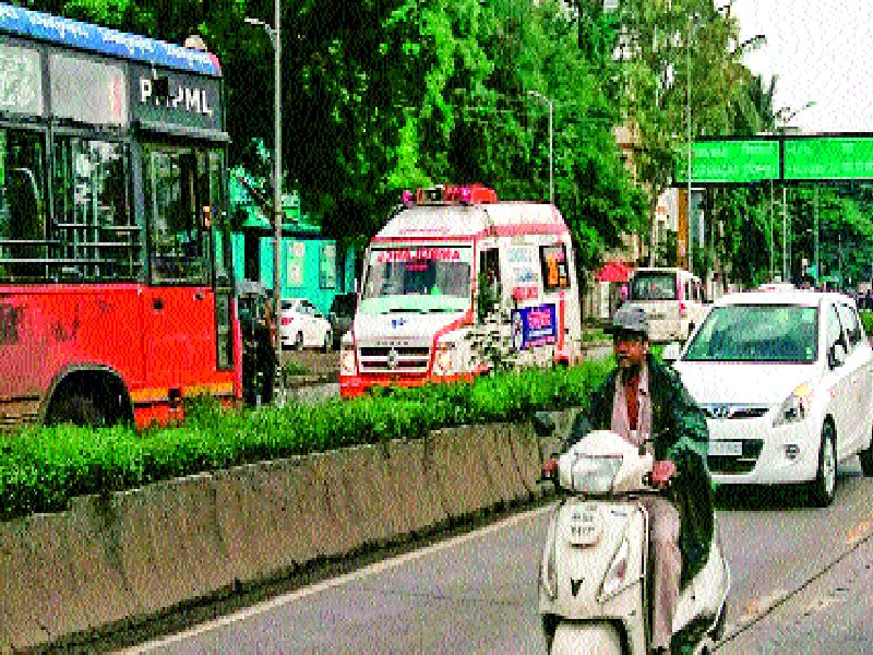  Junketing from BRT to BJP, 'Junk' | ‘बीआरटी’वरून भाजपात गटबाजी, ‘स्थायी’त चर्चा प्रकल्पाची घाई जीवघेणी