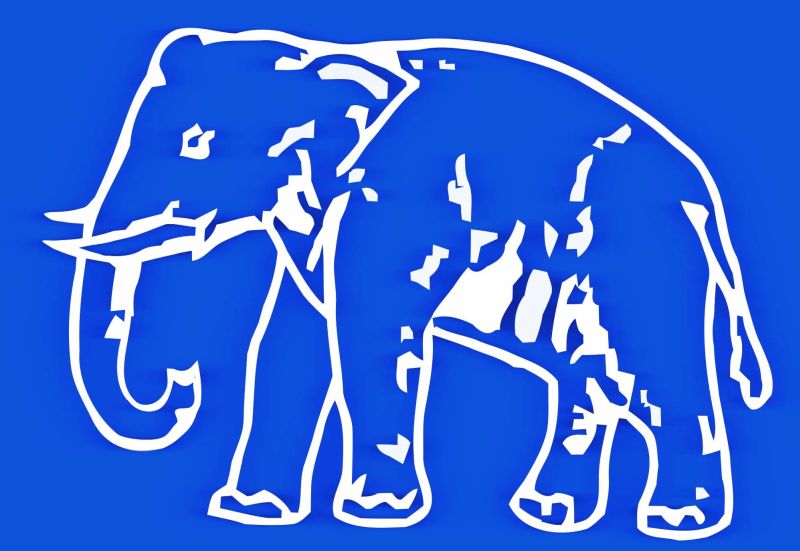 The movement of elephants in Nagpur-Ramtek slowed | नागपूर-रामटेकमध्ये हत्तीची गती मंदावली