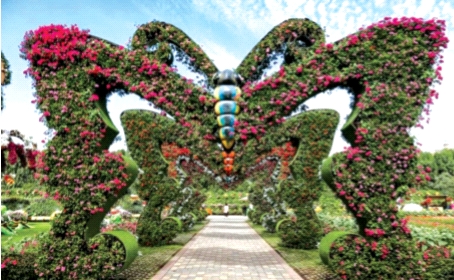 Butterfly Garden to be set up in Ulhasnagar | उल्हासनगरात साकारणार बटरफ्लाय गार्डन
