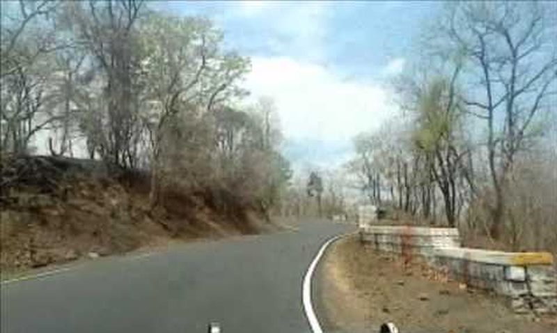 Buldana-Khamgaon road passing through Dnyanganga sanctuary reopen | ज्ञानगंगा अभयारण्यातून जाणारा बुलडाणा-खामगाव मार्ग सुरू