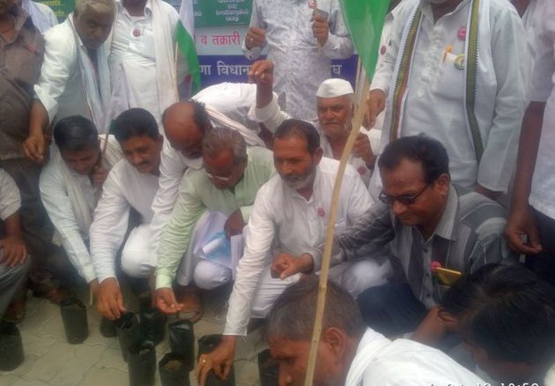 Farmers planted HTBT cotton in Buldhana; Khedbhanga agitation in front of the Collector's office | शेतकऱ्यांनी बुलडाण्यात केली एचटीबीटी कापसाची लागवड ; जिल्हाधिकारी कार्यालयासमोर कायदेभंग आंदोलन