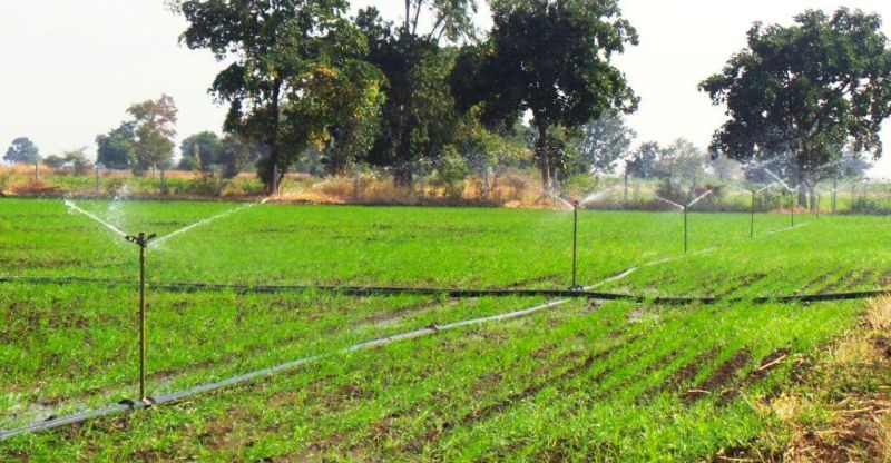 Krishi sanjivani Scheme Support of farmers for agricultural revival | कृषी संजीवनीचा शेतकऱ्यांना आधार