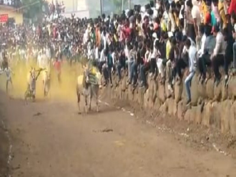 Organizing bull cart race at Songaon in Baramati taluka; crime registred against Both | बारामती तालुक्यातील सोनगावात बैलगाडा शर्यतीचे आयोजन; दोघांवर गुन्हा दाखल 