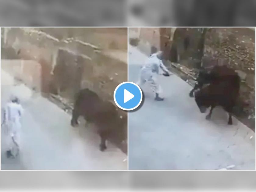 Viral Video : old man beating bull without any reason see what happened | VIDEO : बैल कोपऱ्यात शांतपणे उभा होता, म्हाताऱ्याने त्याला हाणली काठी... पुढे जे झालं त्याने बसेल धक्का