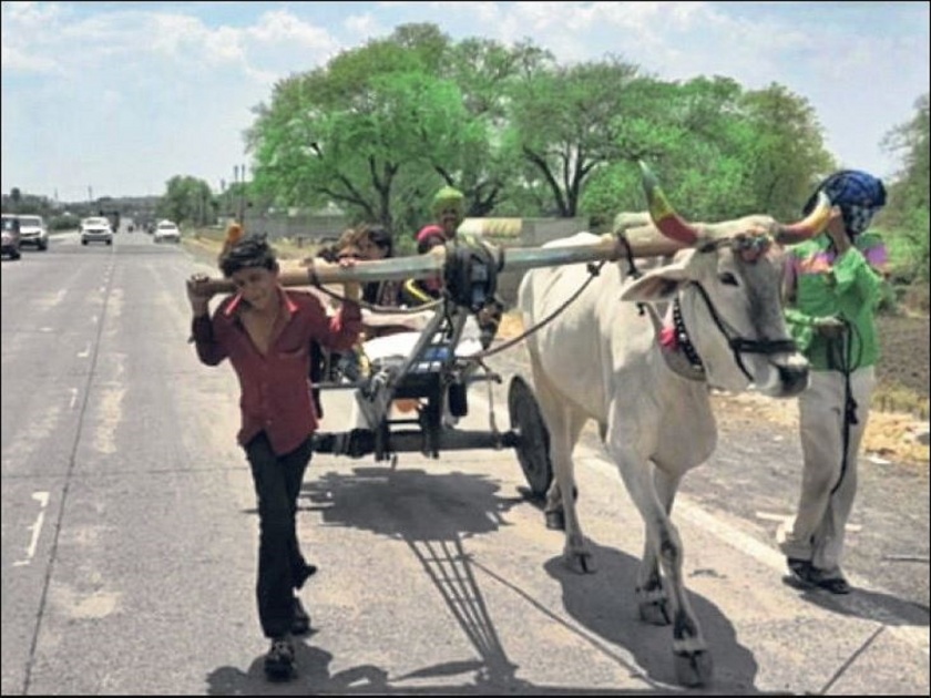 LockDown: Fifteen year old boy on a bullock cart after selling 15,000 bulls for 5,000 rupees-SRJ | LockDown:अशी वेळ कोणावरच येऊ नये; वडिलांनी पोटच्या मुलाला बैलगाडीला जुंपलं