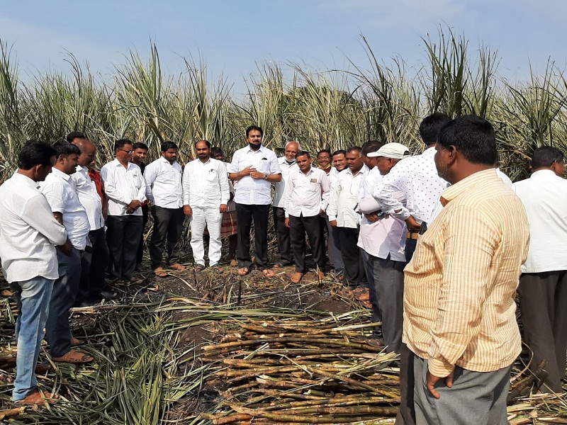 immediate panchnama avsari burnt sugarcane should done said harshvardhan patil | अवसारीतील जळीत उसाचे त्वरित पंचनामे करावेत, हर्षवर्धन पाटलांची मागणी