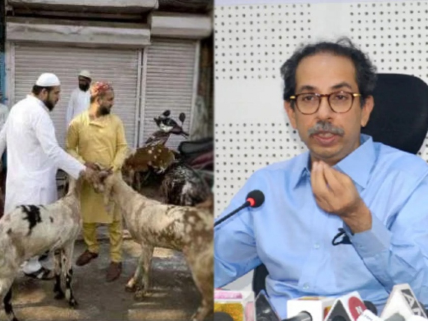 Controversy over the celebration of the symbolic Bakri Eid; Congress leaders unhappy with Decision | प्रतिकात्मक बकरी ईद साजरी करण्यावरुन वादंग; काँग्रेस नेत्यांनीच ठाकरे सरकारला घेरलं