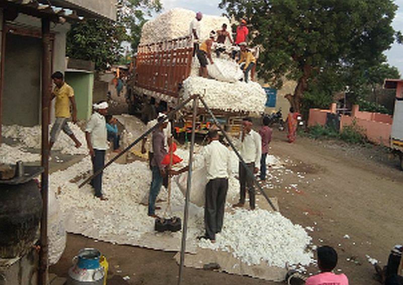 Robbery in cotton for reasons of moisture | ओलाव्याचे कारण सांगून कापूस खरेदीत लूट