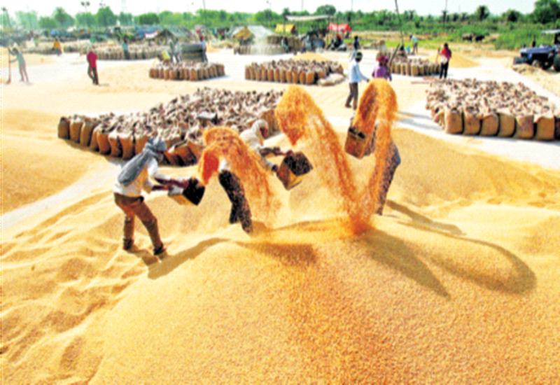 Paddy procurement stopped, Rs 550 crore errors stalled | धान खरेदी थांबली, ५५० कोटींचे चुकारेही रखडले