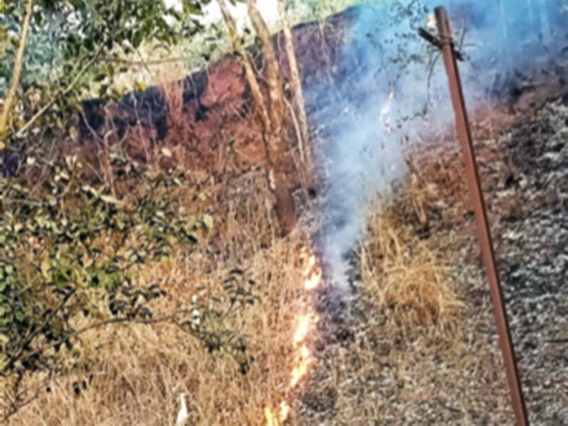 Forests burn wildlife in Tungareshwar Sanctuary | वणव्यांमुळे तुंगारेश्वर अभयारण्यातील वन्यजीवांना धाेका