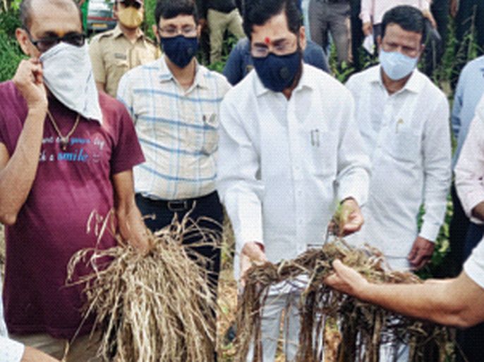 No farmer will be deprived of help says Guardian Minister eknath shinde | एकही शेतकरी मदतीपासून वंचित राहणार नाही, पालकमंत्री एकनाथ शिंदेचे तातडीने अहवाल देण्याचा आदेश