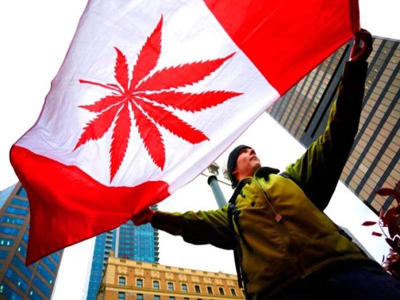 Canada moves a step closer to legalising marijuana | 'या' देशात गांजाचा वापर कायदेशीर होणार, जी-20मधील पहिला देश