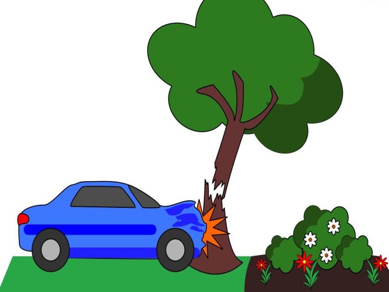nashik,mahatmanagar,car,accident,one,death | महात्मानगरला भरधाव कार झाडावर आदळून चालक ठार
